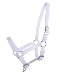 QHP Fohlen Halfter
