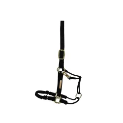 Kentucky Horsewear Kontrollhalfter Nylon