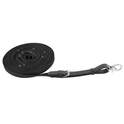 Waldhausen Longe LPO Konform ohne Wirbel  8 m