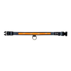Blaser Halsband LED