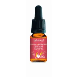 Ladrôme Enzian Nr. 12