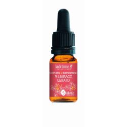Ladrôme Plumbago Nr. 5 10ml