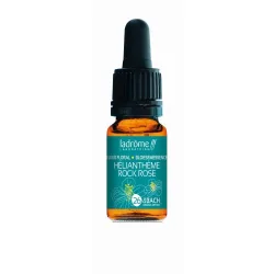 Ladrôme Helianthème Nr. 26