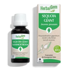 Herbalgem - Séquoia Bio - Nahrungsergänzungsmittel - Frischer Knospen Extrakt - - 30 ml
