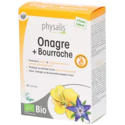 Physalis ? Nachtkerze + Borretsch