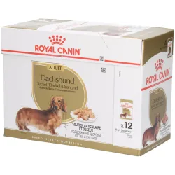 Royal Canin Dachshund Mousse - 12 x 85 g