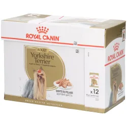 Royal Canin Yorkshire Terrier Adult Mousse - 12 x 85 g