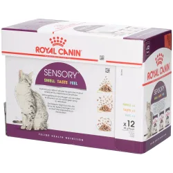 ROYAL CANIN Sensory Smell Taste Feel Multipack in Soße 12x85 g
