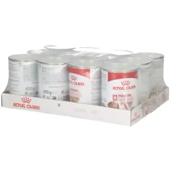 Royal Canin Medium Adult Mousse - Sparpaket: 24 x 410 g