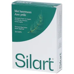 SilArt®