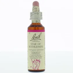 Bach®-Blüte Star OF Bethlehem (Doldiger Milchstern)