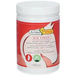 Anima Vital® MSM Puder für Pferde