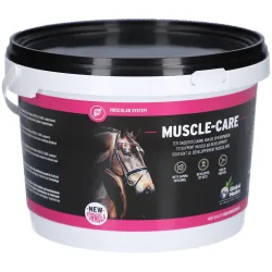 Global Medics Muscle-Care Pulver