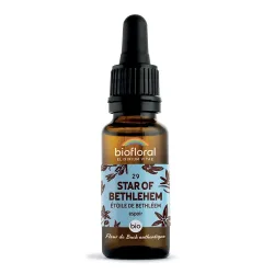 Biofloral 29 - Stern von Bethlehem - Etoile de Bethléem - 20 ml