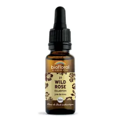 Biofloral Wilde Rose - Hagebutte
