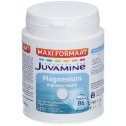 Juvamine Magnesium + Vitamin B6
