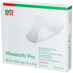 Vliwasorb Pro Wundverband 12.5x12.5cm (10 Stk)