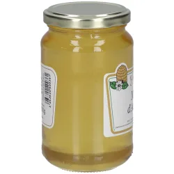 APIDIS Acacia Honig (500g)