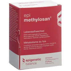 epi methylosan Kapseln (60 Stk)