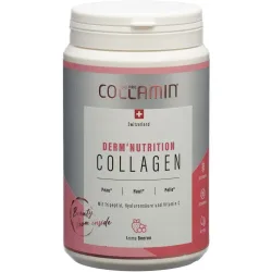COLLAMIN Derm'Nutrition Collagen 28 Portionen (480g)