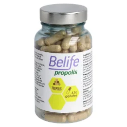 Belife Propolis Gélules (120 Stk)