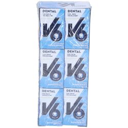 V6 Dental Care Kaugummi Pfefferminze (24x24g)