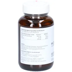 MoleQlar Berbersome