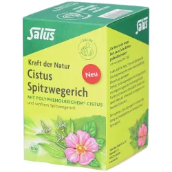 Salus® Cistus Spitzwegerich Tee Bio Filterbeutel