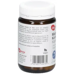 Dr. Wolz Magnesium Komplex Kapseln