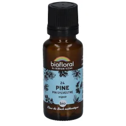 Biofloral 24 Kiefer - Pin Sylvestre