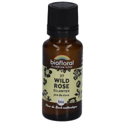 Biofloral 37 Wildrose - Hagebutte