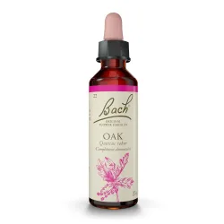 Original Bach®-Blüten Oak Nr. 22