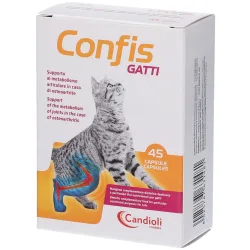 Konfis-Katzen 45Cps