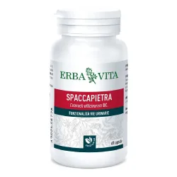 Erba Vita Spaccapietra