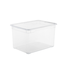 ROTHO Clear Box 46l 1415000096WS transparent