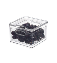 HOME EDIT - Frischhaltebox KLAR - Berry Bin klein