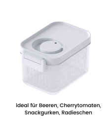 DATEMATE Frischhaltebox mit Haltbarkeits-Timer - 17.6x11.5x10.7 cm (0.9 L)