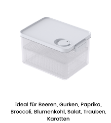 DATEMATE Frischhaltebox mit Haltbarkeits-Timer - 24.5x15.8x13.9 cm (2.8 L)