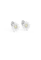 Edelweiss Ohrringe JS.0225.B