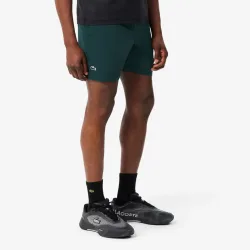 Lacoste Shorts Herren