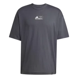 adidas GFX Glob T - Shirt Herren dunkelgrau