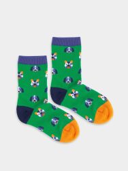 - Kindersocken Lil Dog Portraits Bunte Lustige Socken | Chiens Hunde Geschenk Bio-Baumwolle | 0-12M Grün Blau