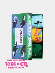 - Socken-Geschenkbox in Bunt mit Tiere Tier Motiv/Muster