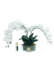 Luxuriöser Raumduft „Luxury Oval Orchid Bouquet“ Côte Noire