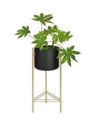 Design Blumentopf „Glory“ Schwarz, Gold Andrea House