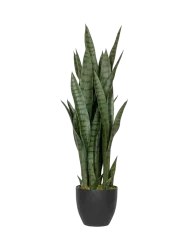 Lebensechte Kunstpflanze „Sansevieria“ Baq Design