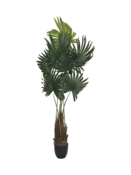 Lebensechte Kunstpflanze „Palm Tree Tuft“, verschiedene Grössen Baq Design
