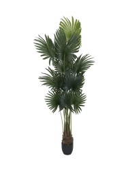 Lebensechte Kunstpflanze „Palm Tree Tuft“, verschiedene Grössen Baq Design