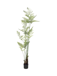 Lebensechte Kunstpflanze „Fern“, verschiedene Grössen Baq Design