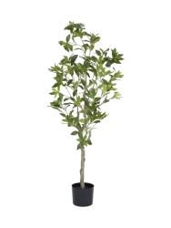 Lebensechte Kunstpflanze „Pieris“, verschiedene Grössen Baq Design